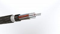 Кабель АКРВГЭ 10х10